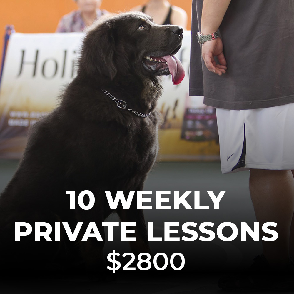 10 Weekly PRIVATE Training Lesson